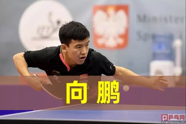 德甲彩经：勒沃库森客场告捷 多特蒙德持续疲软.