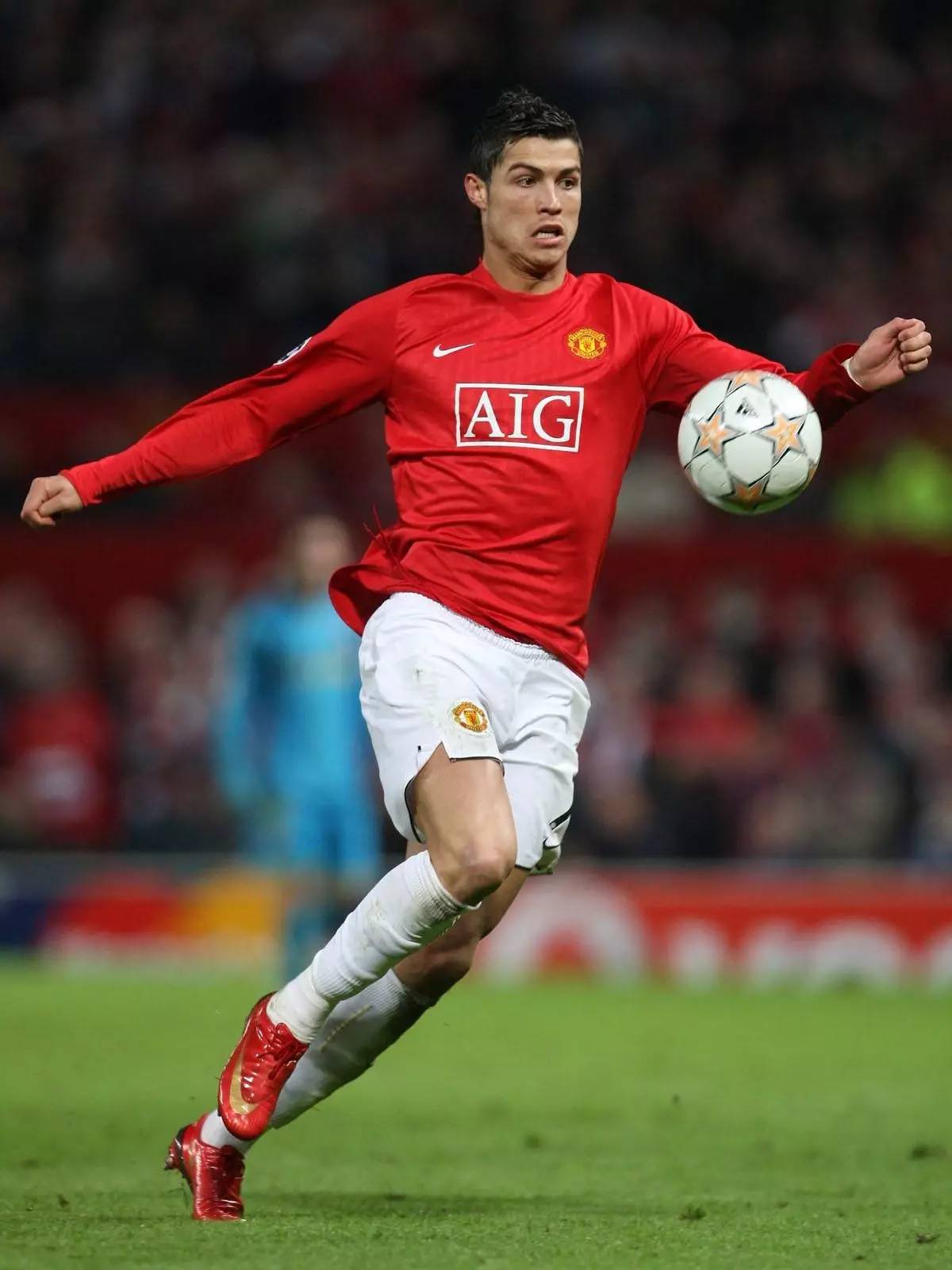 不屈精神的 不屈精神的